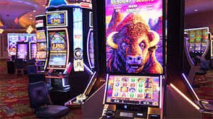 bet59577
